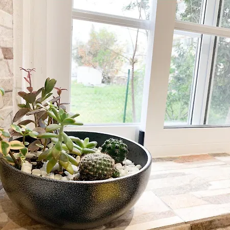 Privatunterkunft Casa Da Aida *