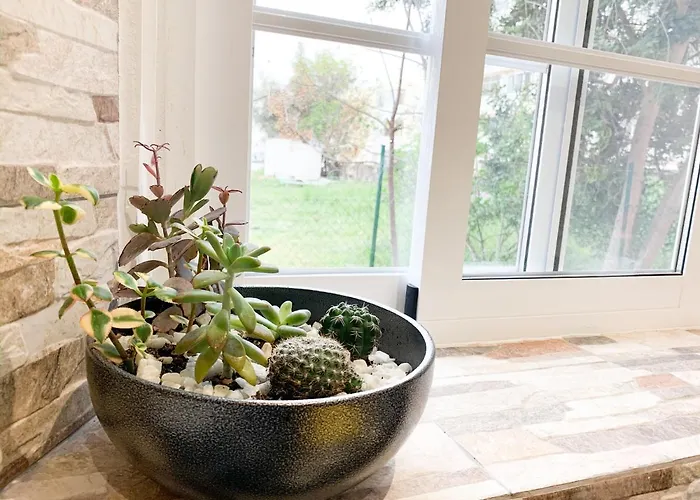 民宿 Casa Da Aida *