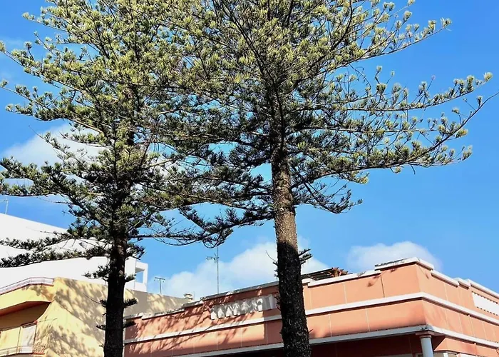 民宿 Casa Da Aida 夫塞塔